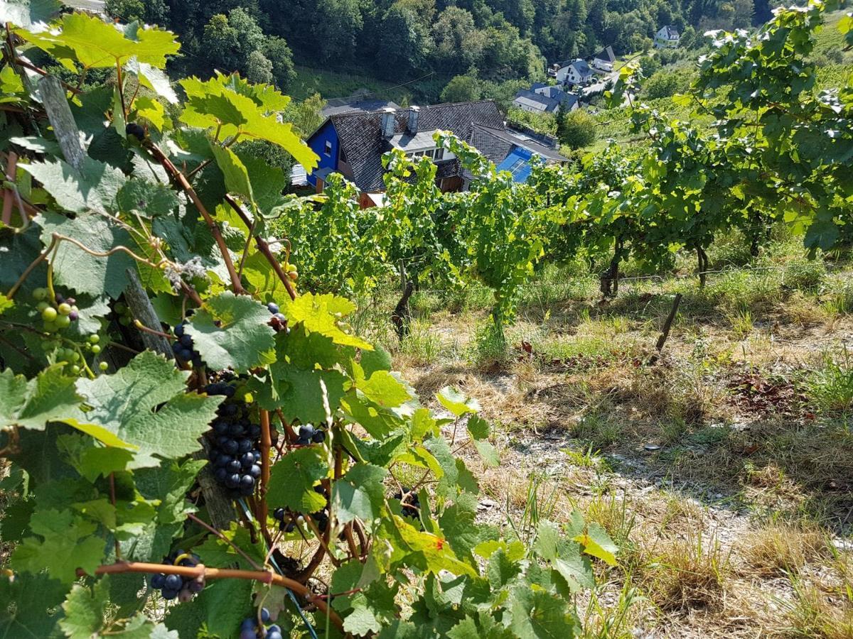 Appartamento Rhine Pearl Hideaways Oberwesel Esterno foto